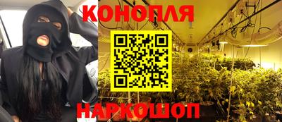 гашик Аргун