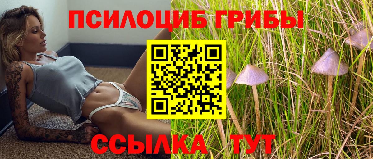 Владимир  Галлюциногенные грибы ЛСД  Псилоцибиновые грибы GOLDEN TEACHER  Вход с VPN 