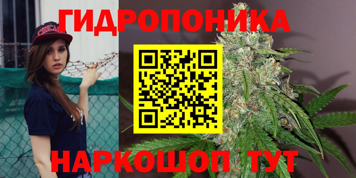 Шишки марихуана гибрид Владимир